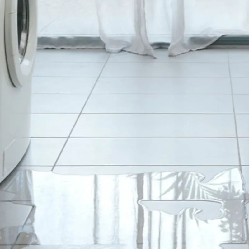 Appliance Leak Cleanup in Sullivan County, IN