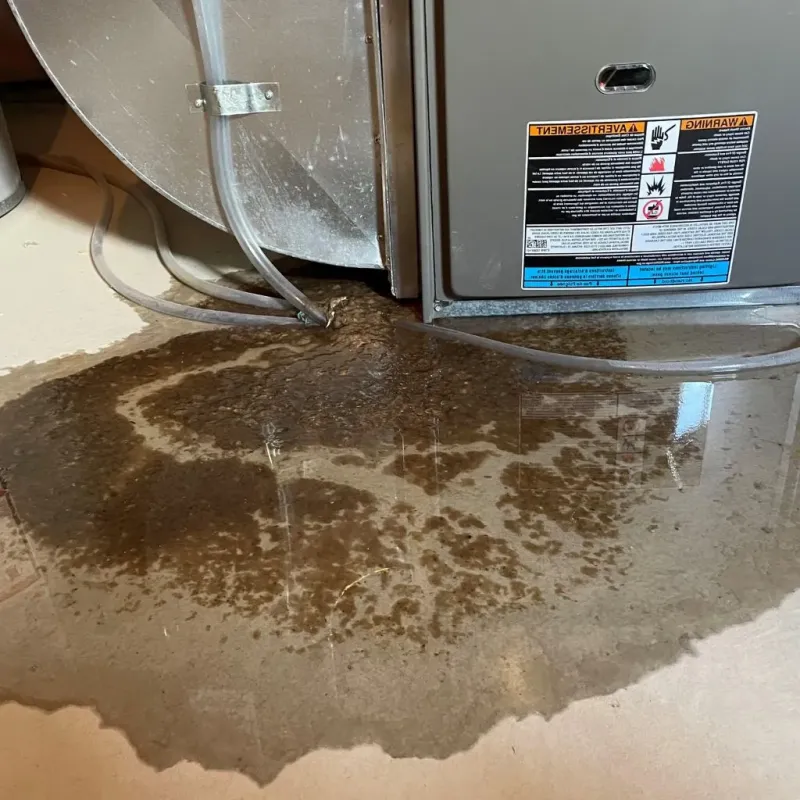 Pipe Burst and Leak Restoration in Sullivan County, IN